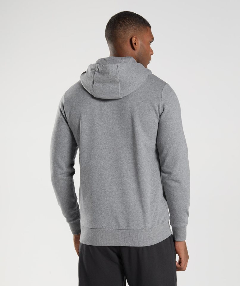 Men's Gymshark Sharkhead Infill Hoodie Grey | NZ 2BFPAZ